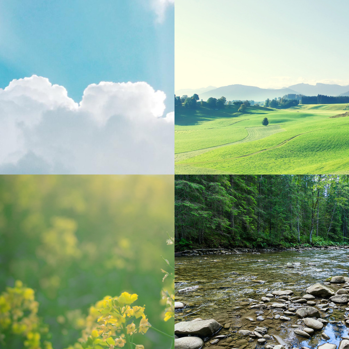 图片拼接2024-04-02 10-56-41.jpg